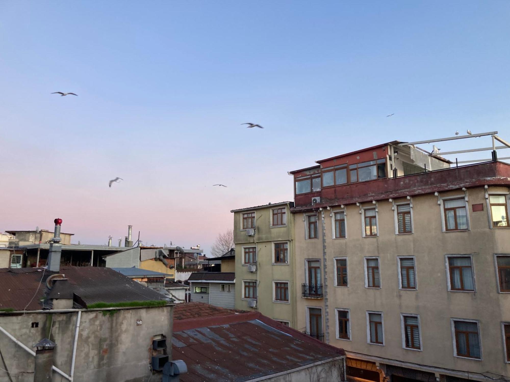 Ulusoy Old City イスタンブール エクステリア 写真